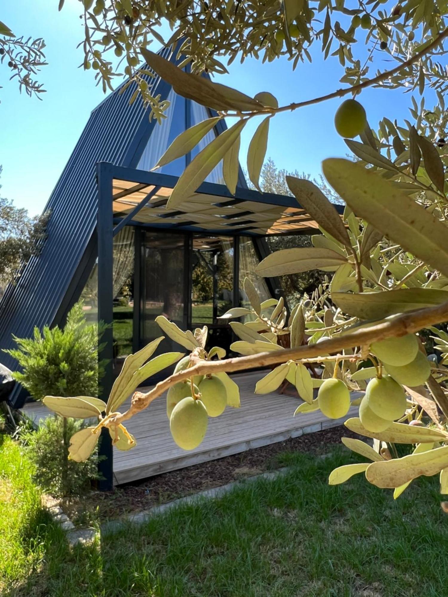 Byelka Bungalov Ayvalı Esterno foto